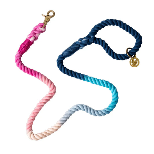 The Pride Rope Leash Collection: Trans Pride Ombre