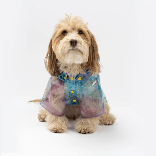 Puddle Splash Translucent Raincoat for Medium to Large Dogs