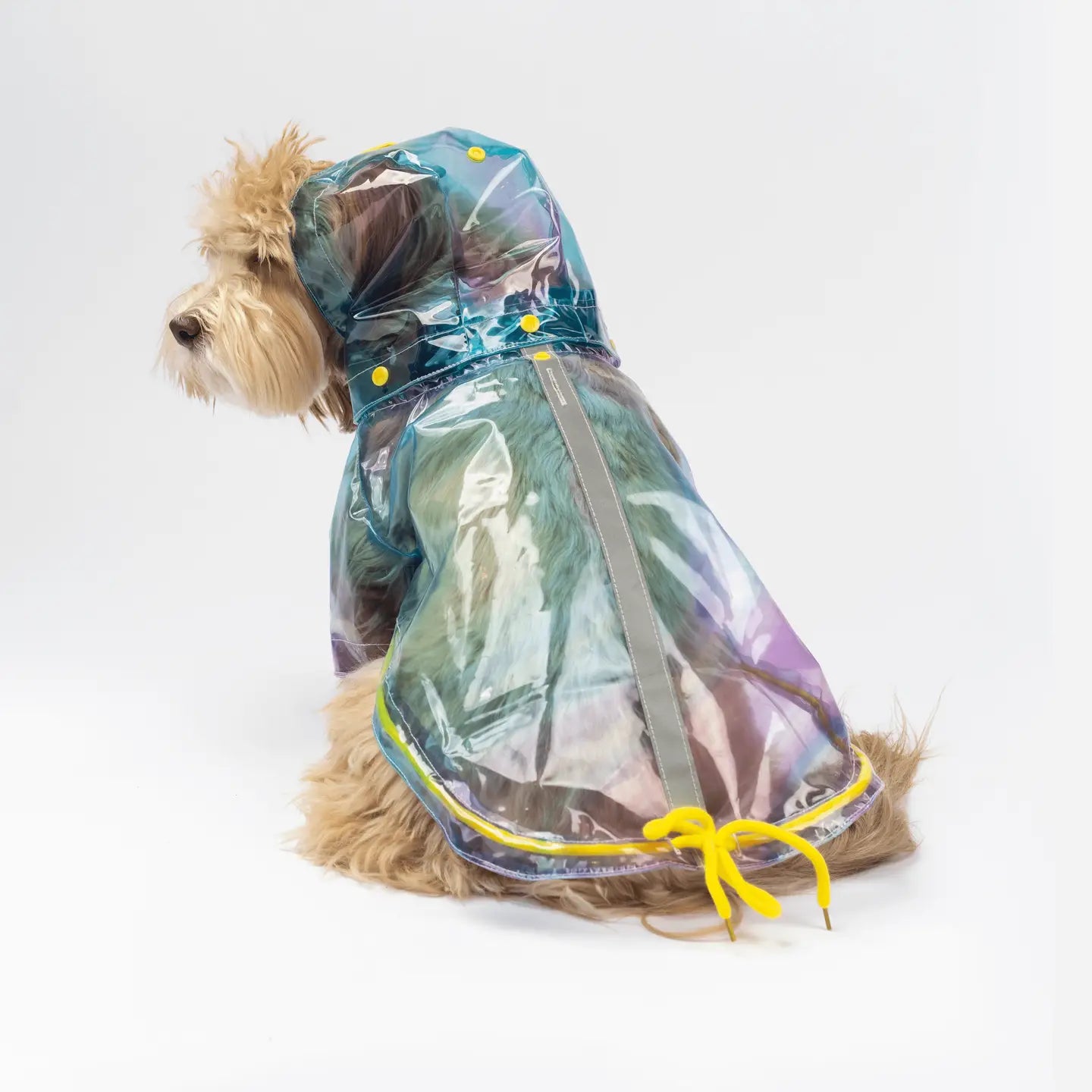 Puddle Splash Translucent Raincoat for Medium to Large Dogs