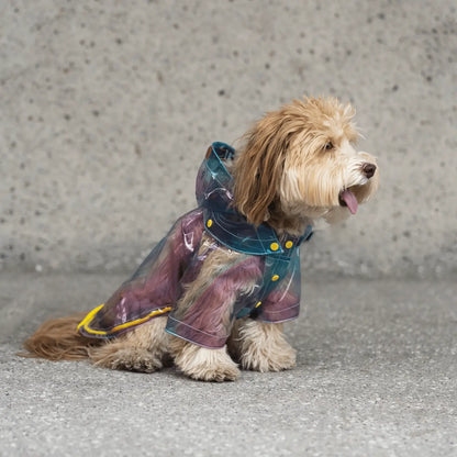 Puddle Splash Translucent Raincoat for Medium to Large Dogs