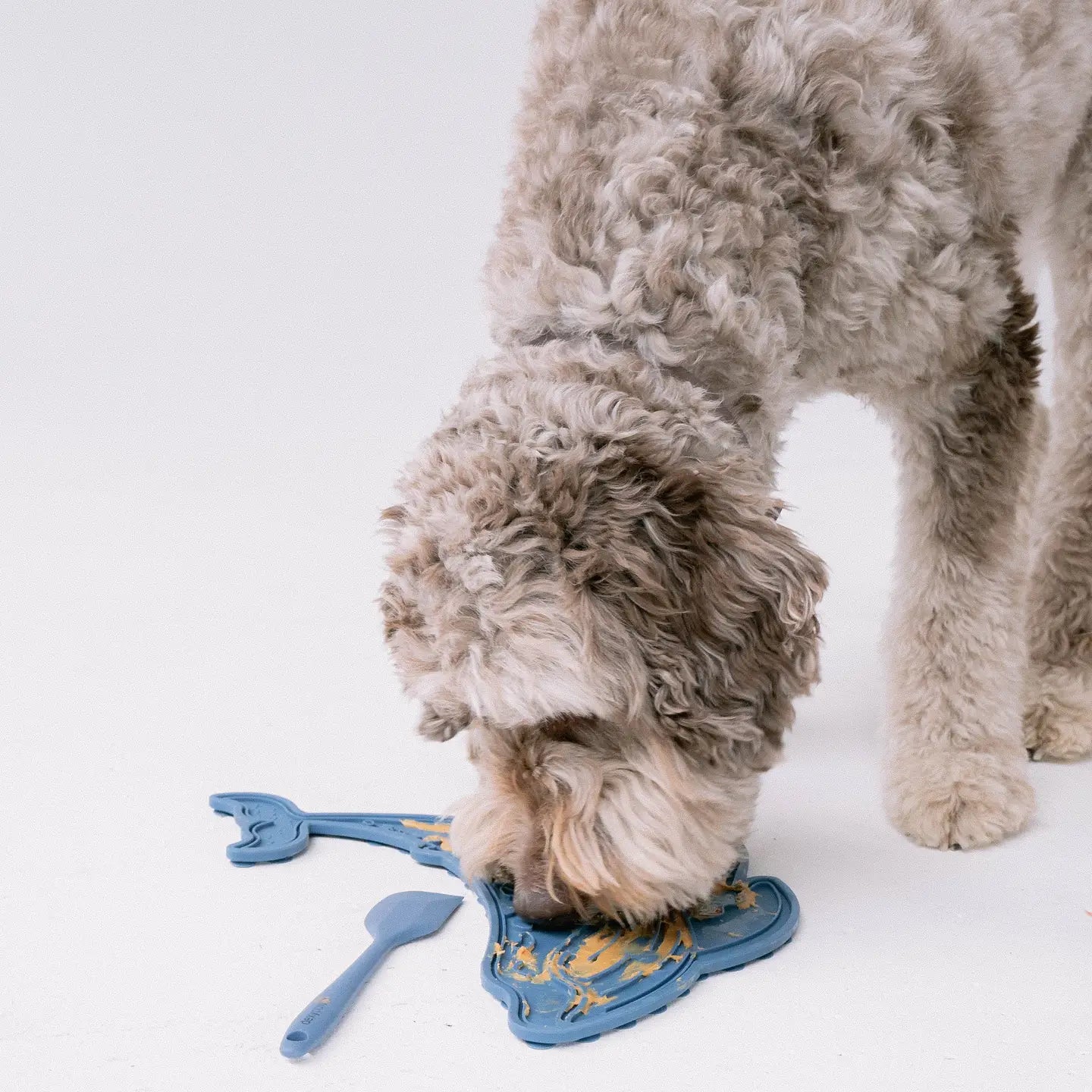 Blue Whale Enrichment Lick Mat Set