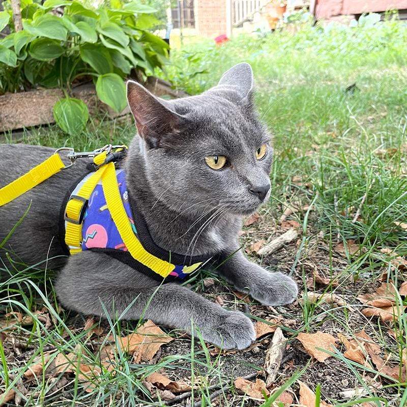 "the 90s Cat" Harness & Leash Set