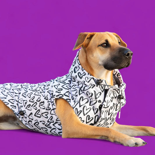 Long Dog "Heartthrob" Raincoat