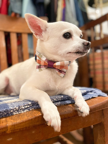 September Plaid Pet Bowtie